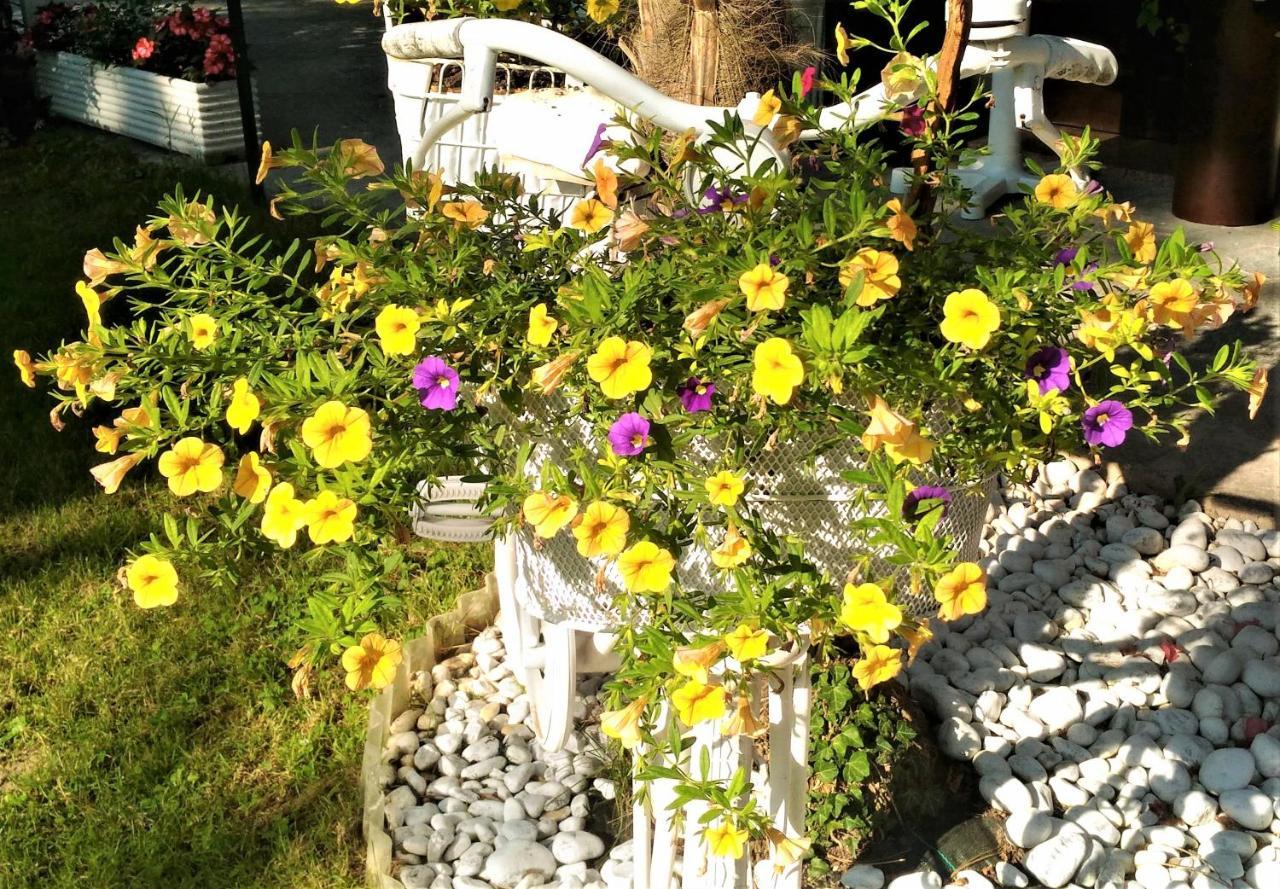 Green Holiday Villa Бибионе Екстериор снимка